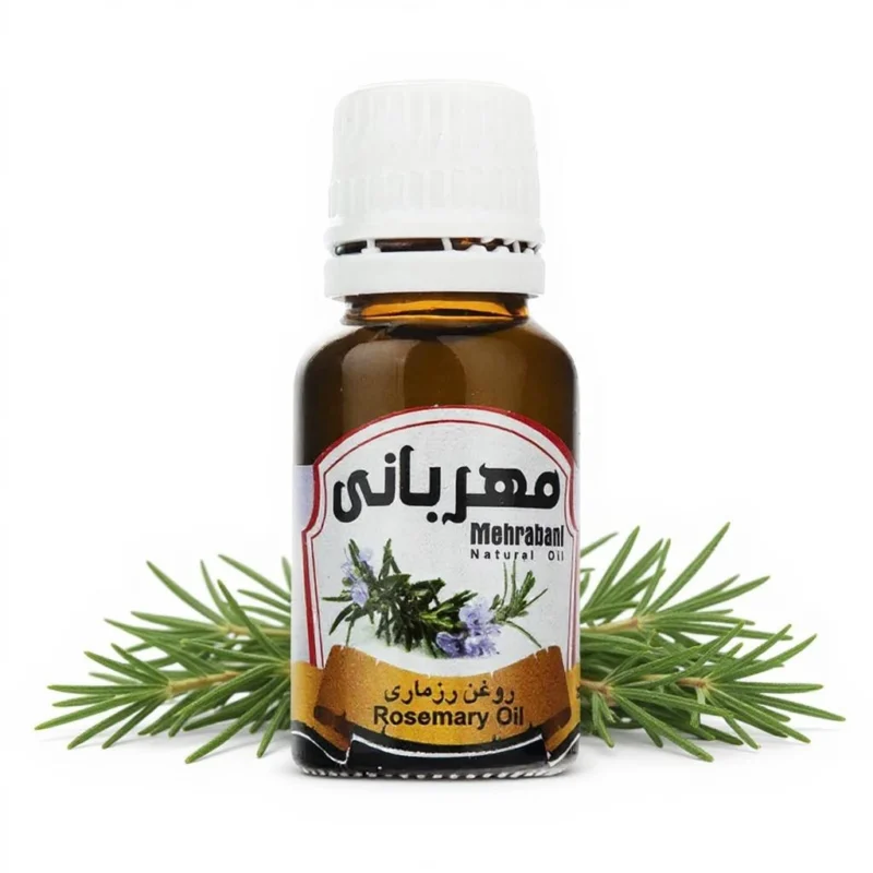 Fresh rosemary plant – natural source for Mehrabani organic oil